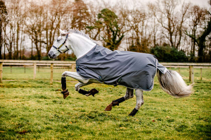 HORSEWARE AMIGO Outdoordecke Bravo 12 100 g Turnout